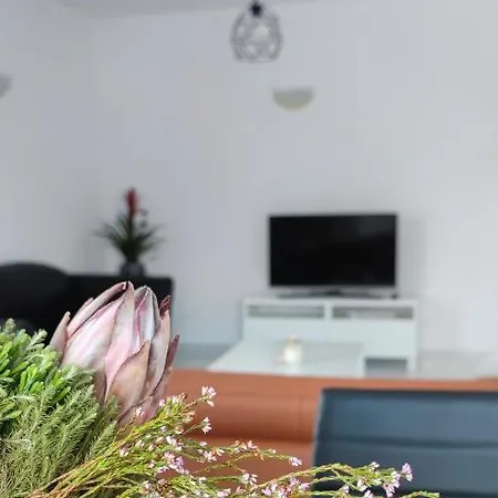 Ellas Modern Duplex Center Appartement