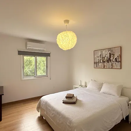 Ellas Modern Duplex Center 公寓 尼科西亚